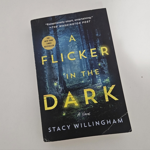 Other - A Flicker in the Dark By Stacy Willingham Novel Book Mystery Thriller Crime